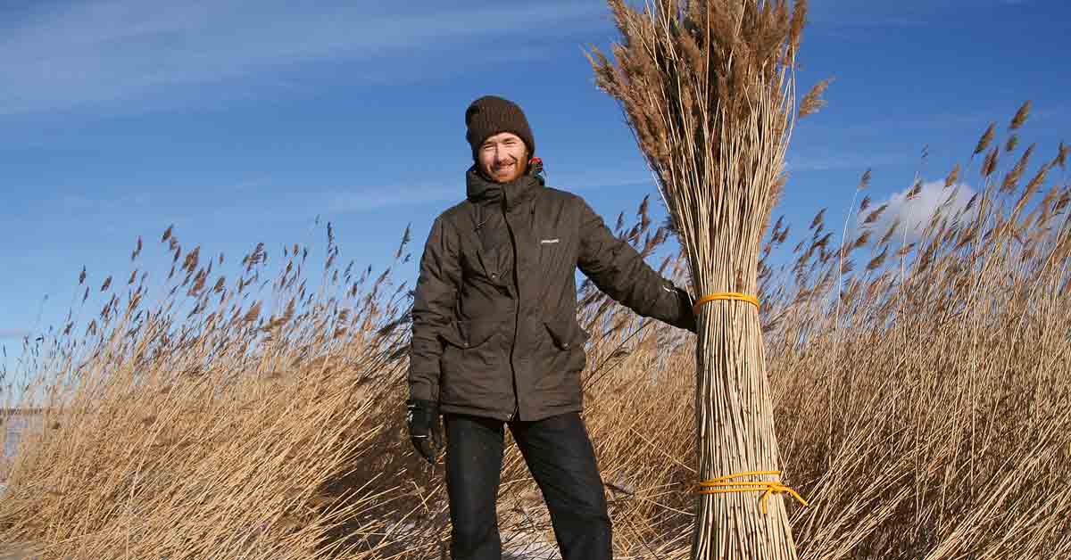 Artikkelin Rookroonimees ja Guinnessi… otsikkokuva